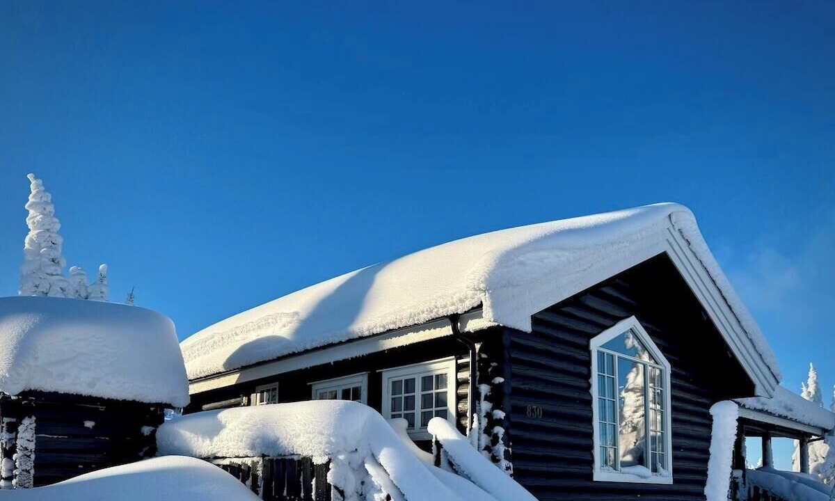 Photo of Outdoor in Oyer