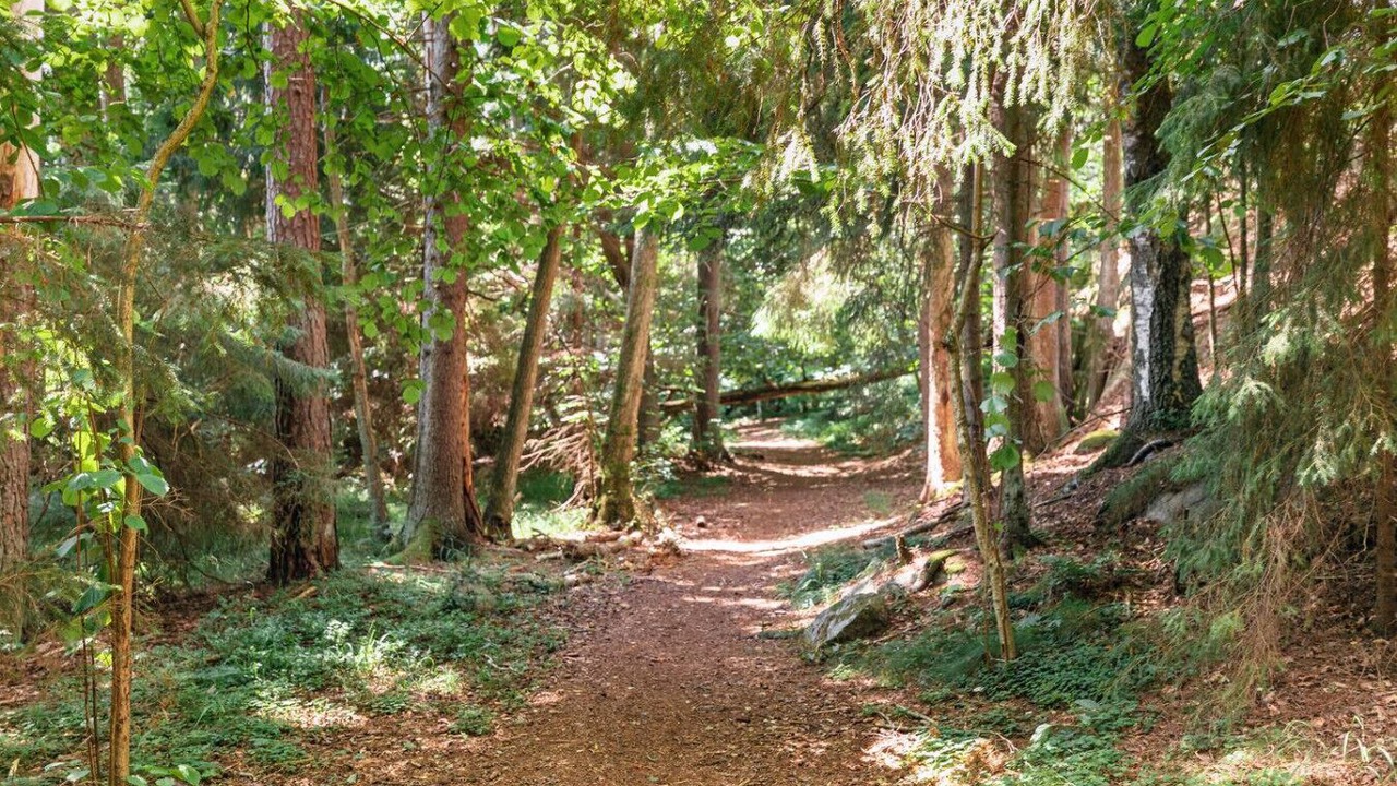 Photo of Others in Stavsnas