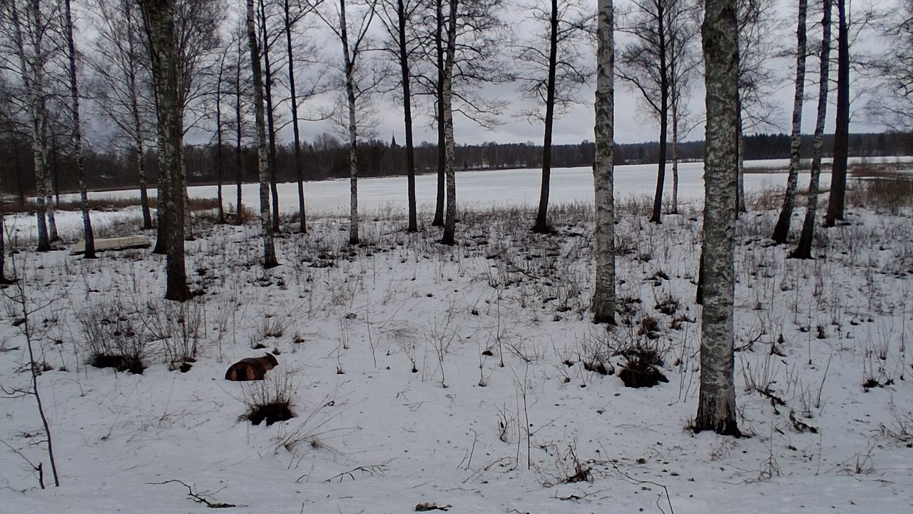 Photo of Others in Fagelfors