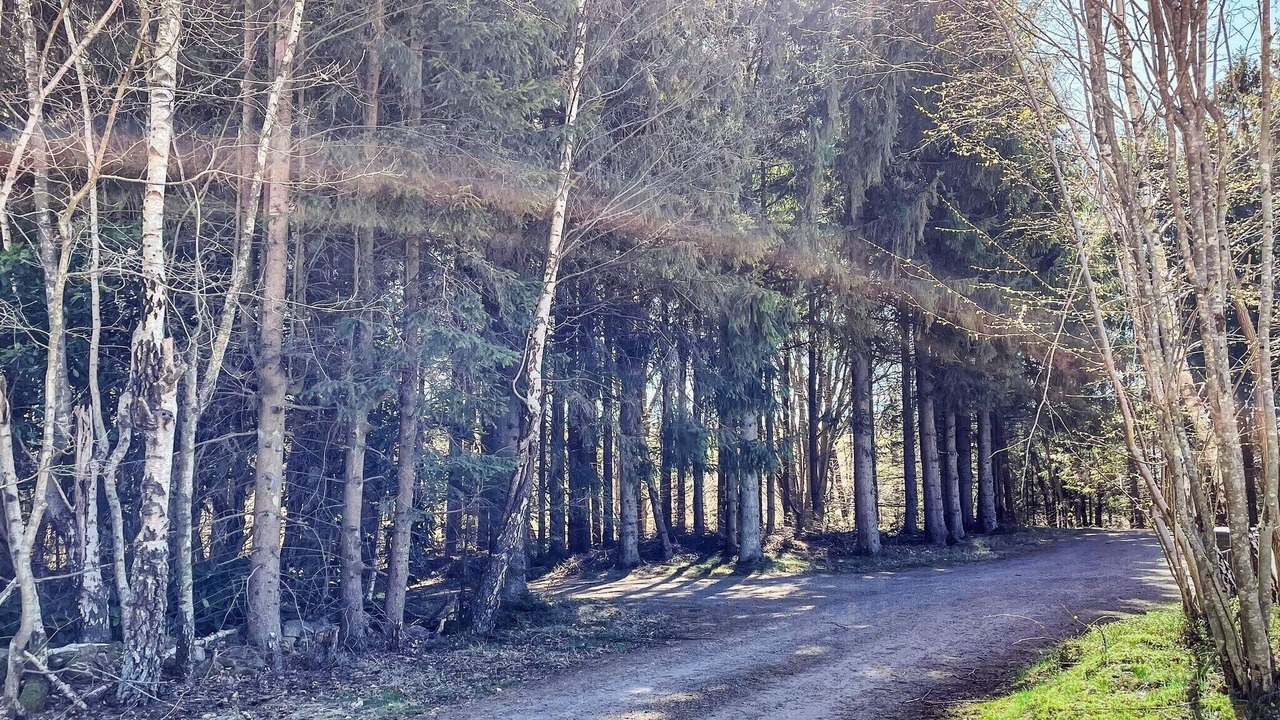 Photo of Outdoor in Kvidinge