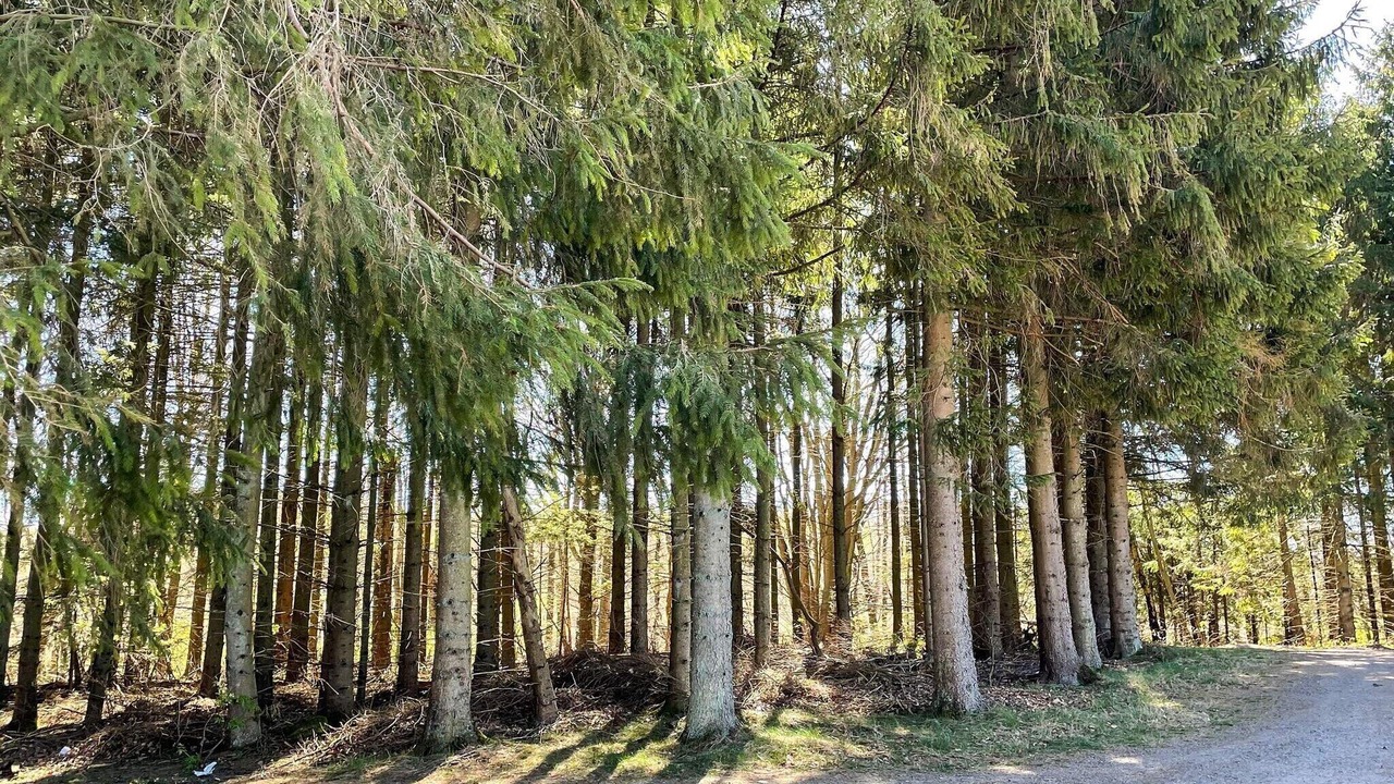 Photo of Outdoor in Kvidinge