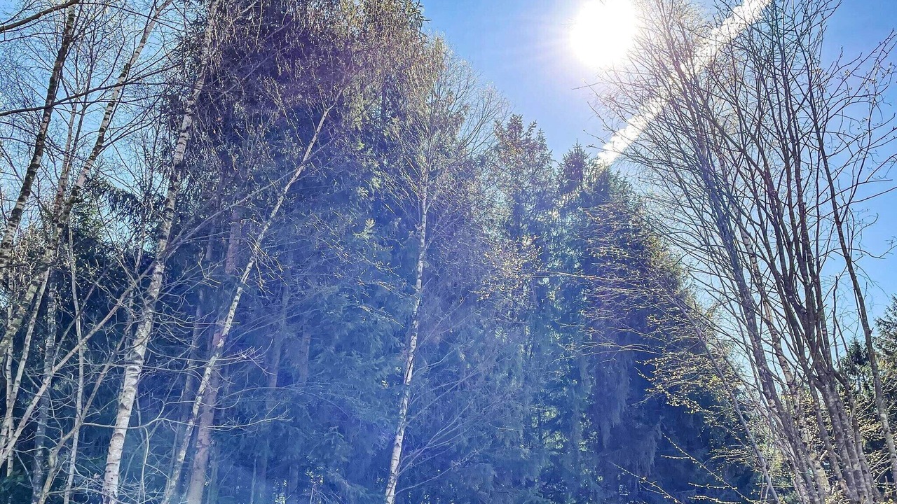 Photo of Outdoor in Kvidinge
