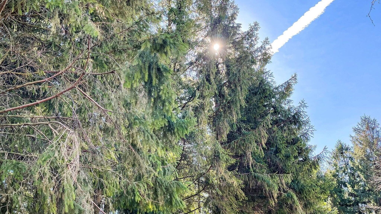 Photo of Outdoor in Kvidinge
