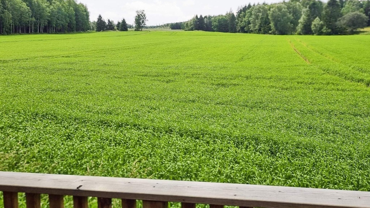 Photo of Outdoor in Bralanda
