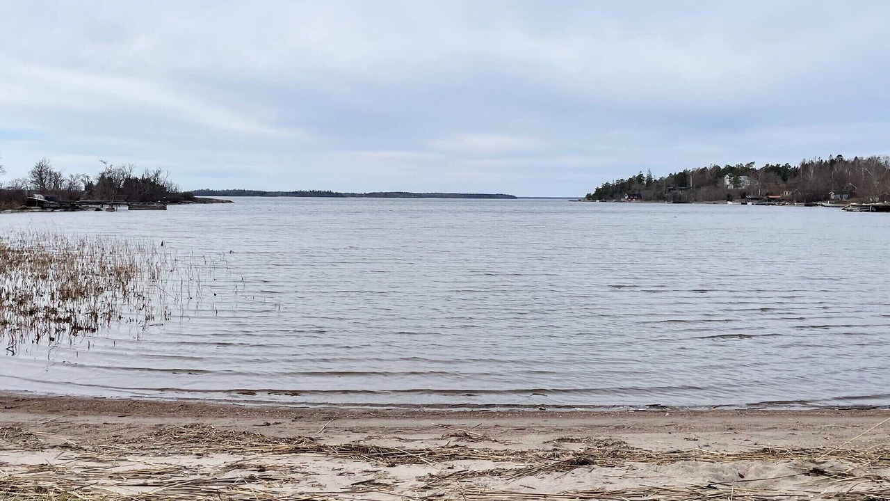 Photo of Others in Grisslehamn
