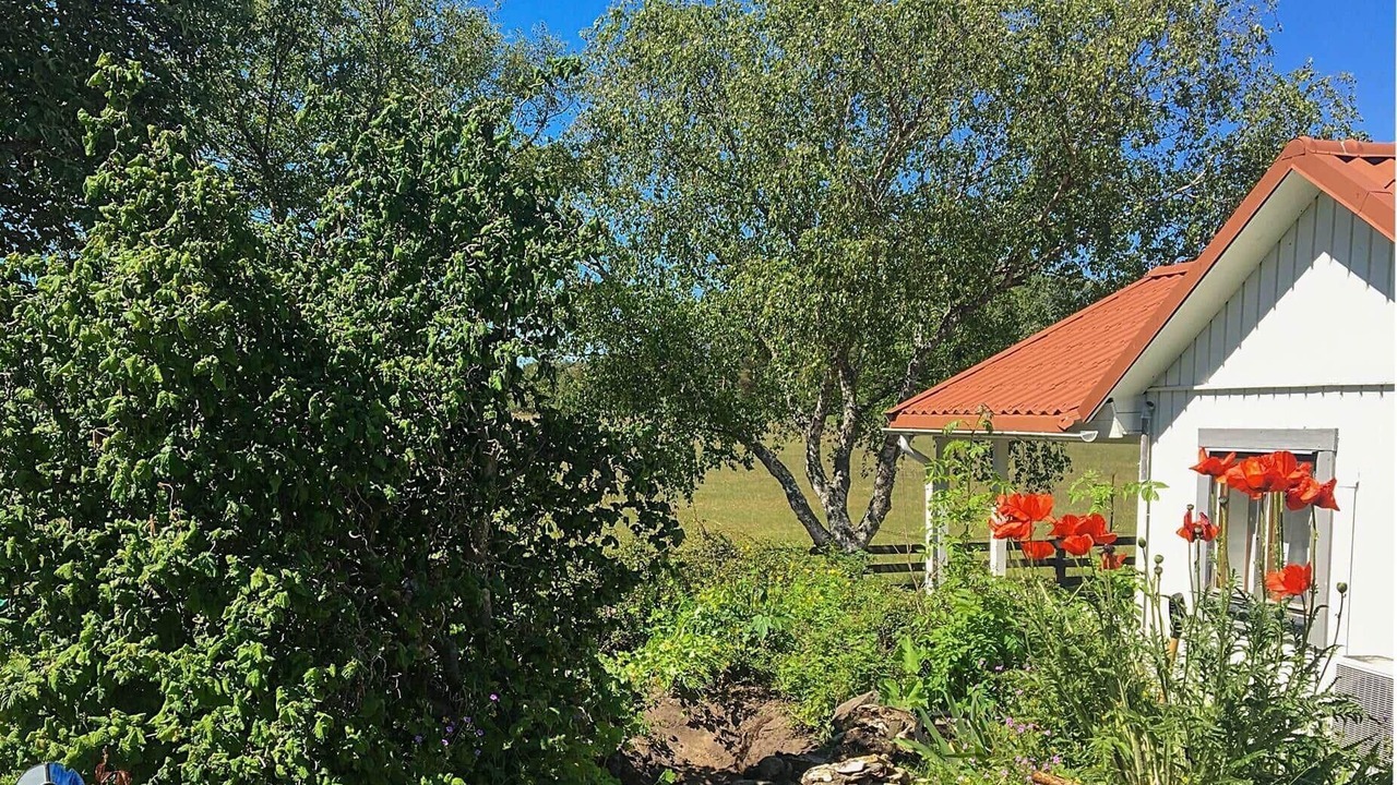 Photo of Outdoor in Larbro