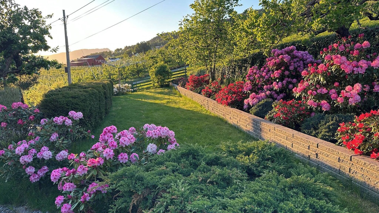 Photo of Outdoor in Sandane