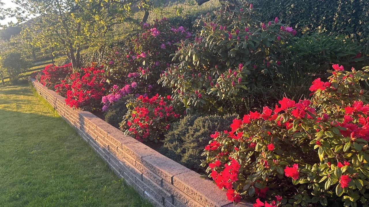 Photo of Outdoor in Sandane