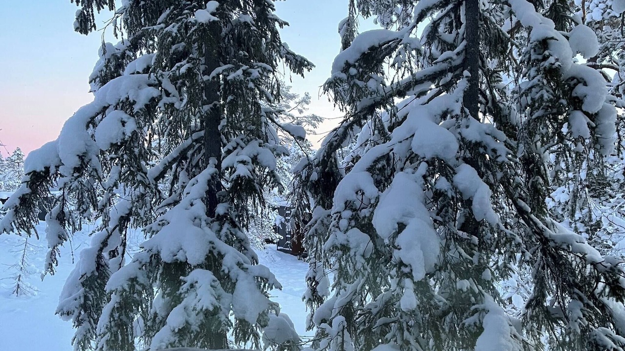 Photo of Others in Flesberg