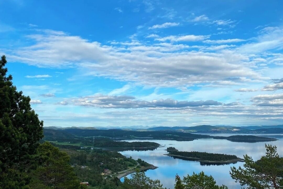 Photo of Others in Steinkjer