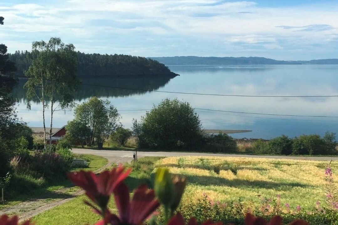 Photo of Others in Steinkjer