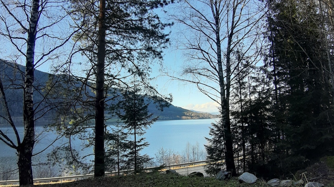 Photo of Others in Tretten