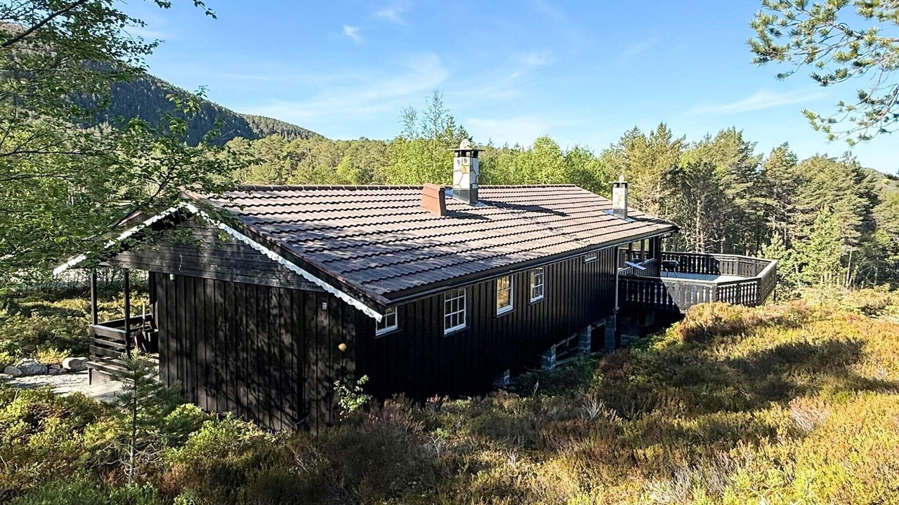 Photo of Outdoor in Hemne