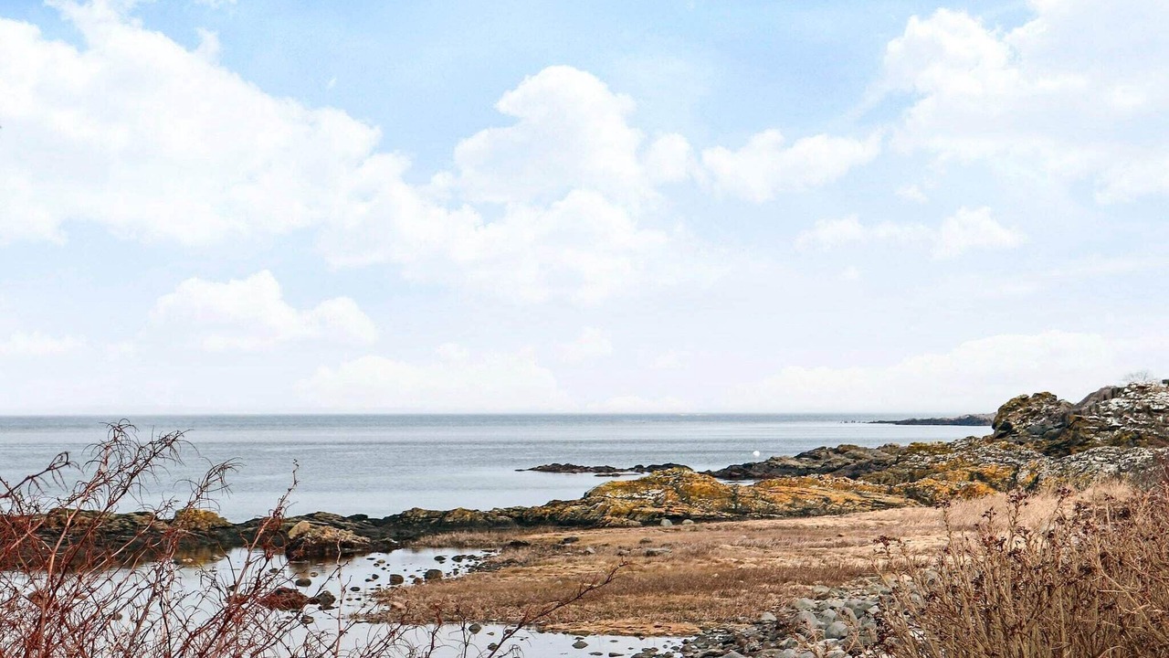 Photo of Others in Nyhamnslage