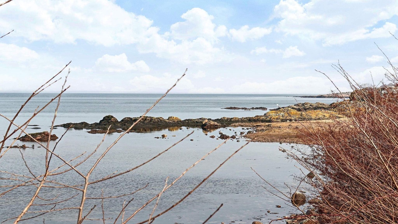 Photo of Others in Nyhamnslage