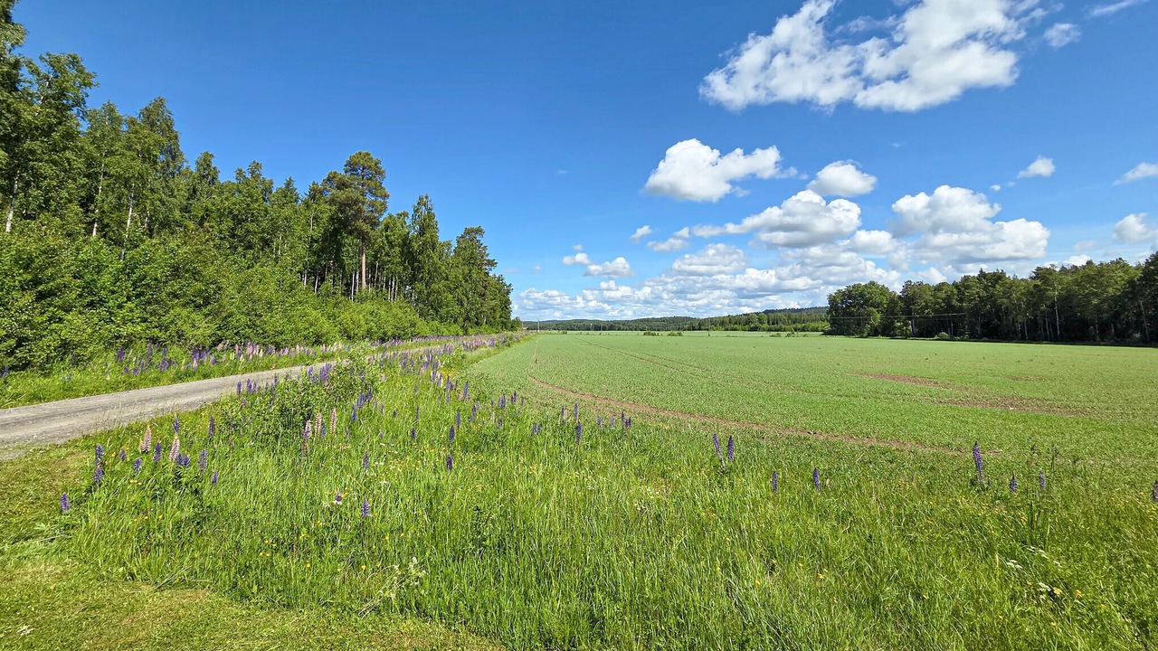 Photo of Others in Storfors