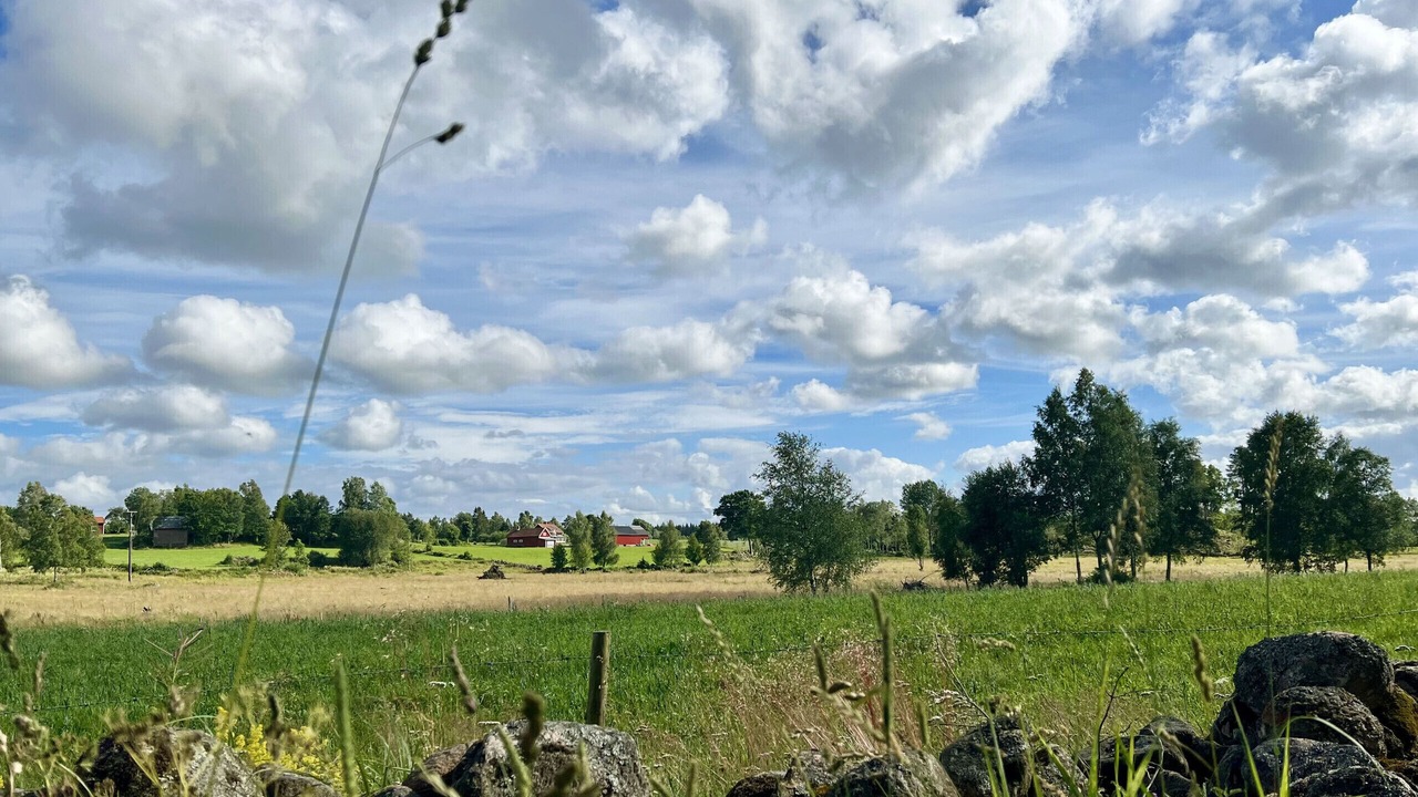 Photo of Others in Ljung