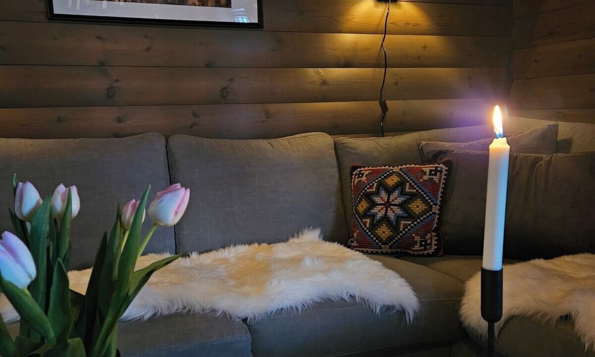 Photo of Livingroom in Dølemo