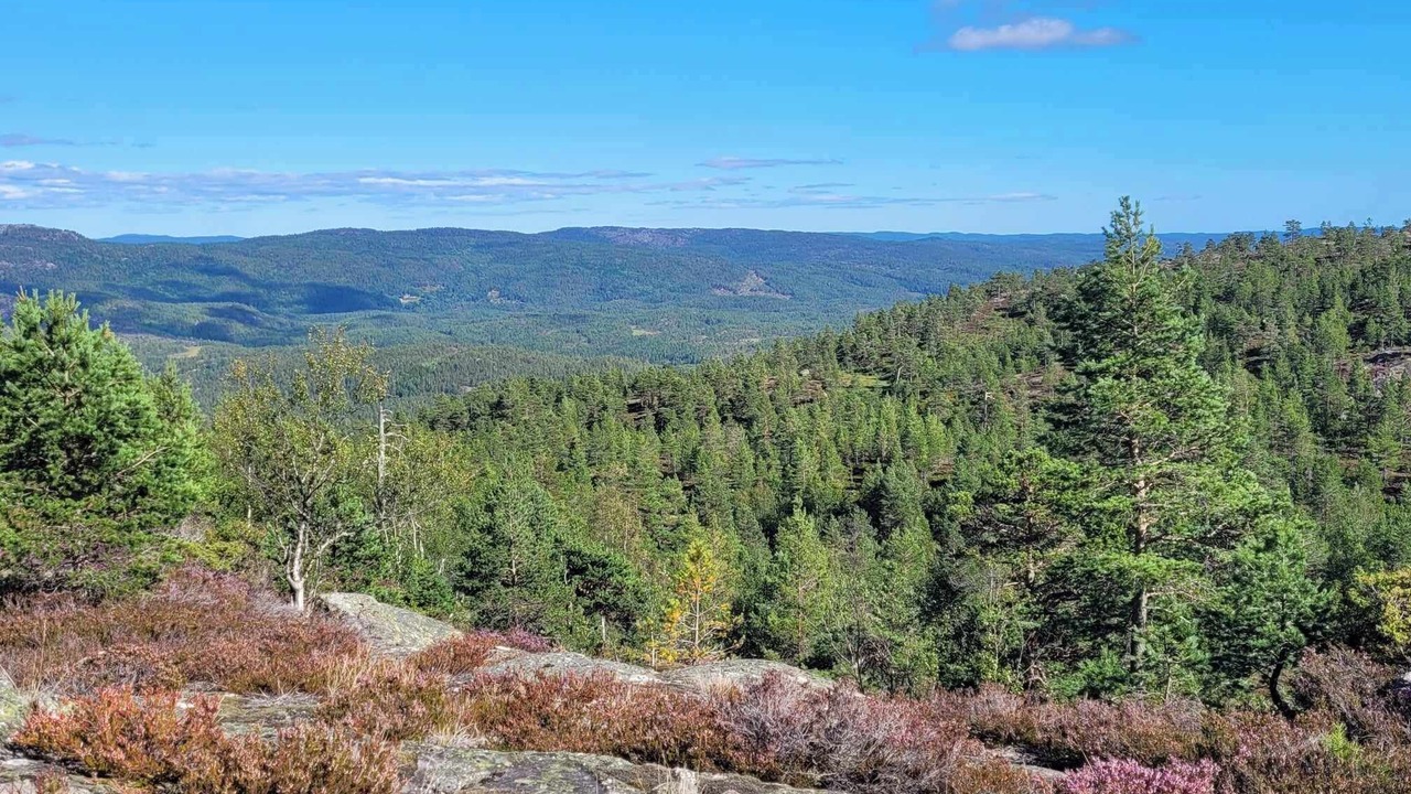Photo of Others in Dølemo
