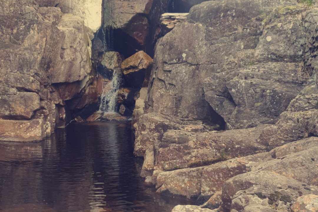 Photo of Others in Dølemo