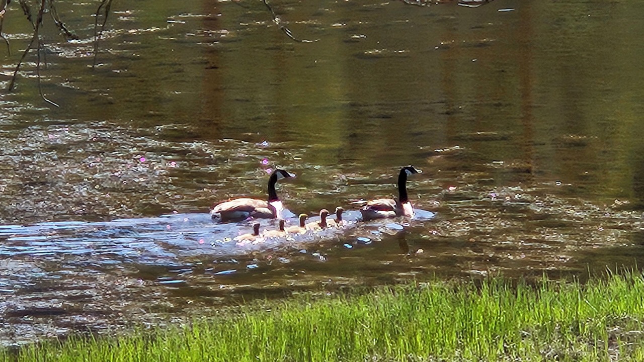 Photo of Others in Dølemo