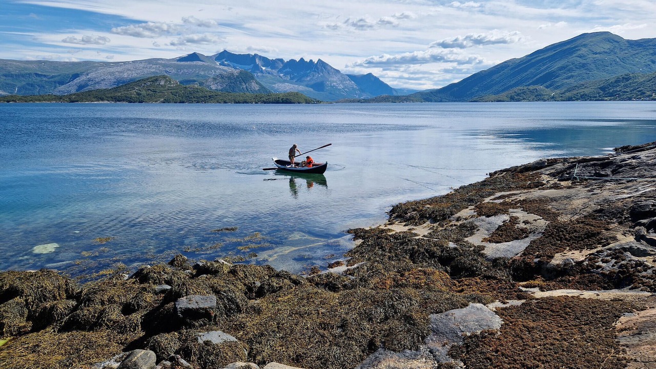 Photo of Others in Gildeskal