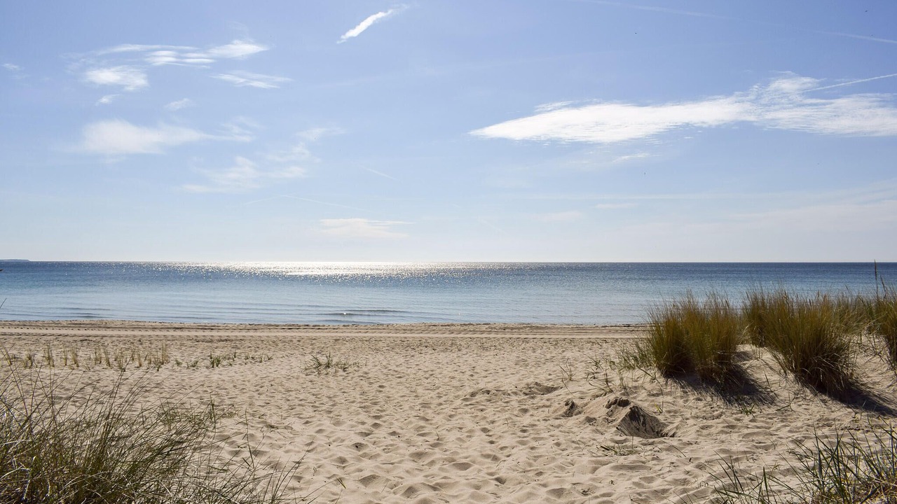 Photo of Others in Nybrostrand