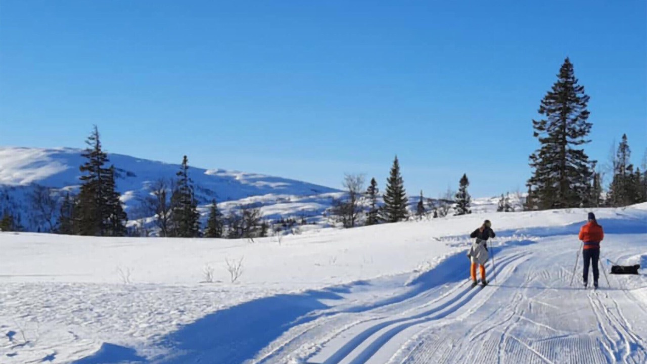 Photo of Others in Ryrvik
