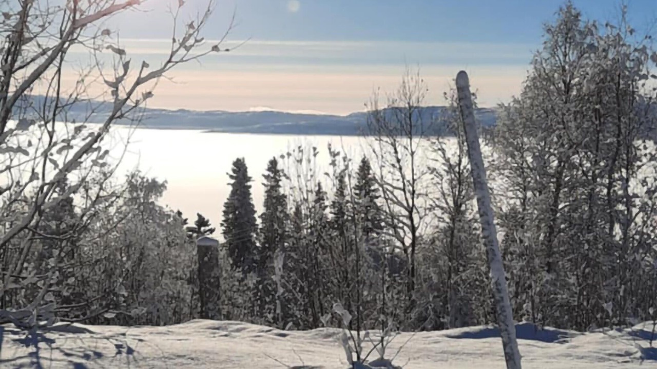 Photo of Others in Ryrvik