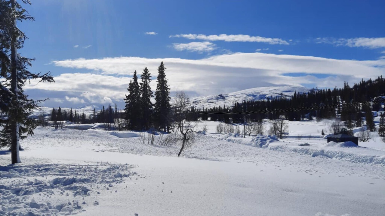 Photo of Others in Ryrvik