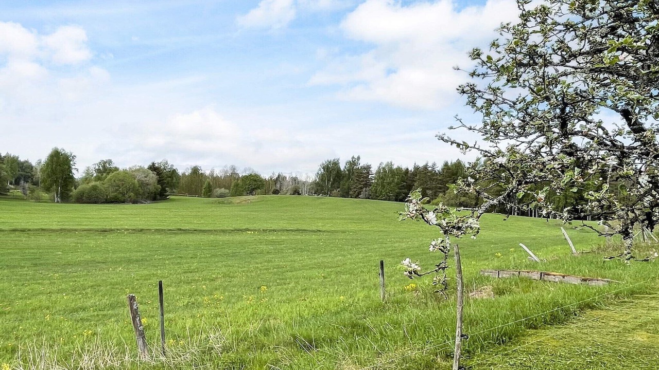 Photo of Outdoor in Hogsby