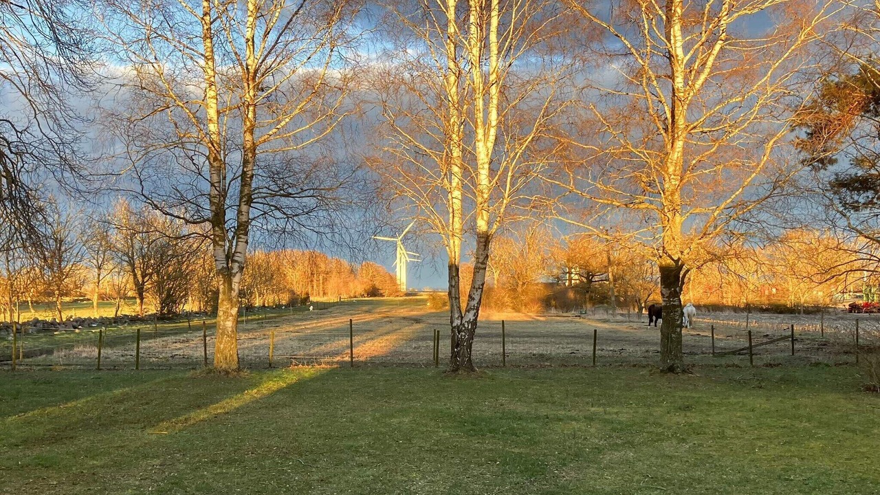 Photo of Outdoor in Hagaby