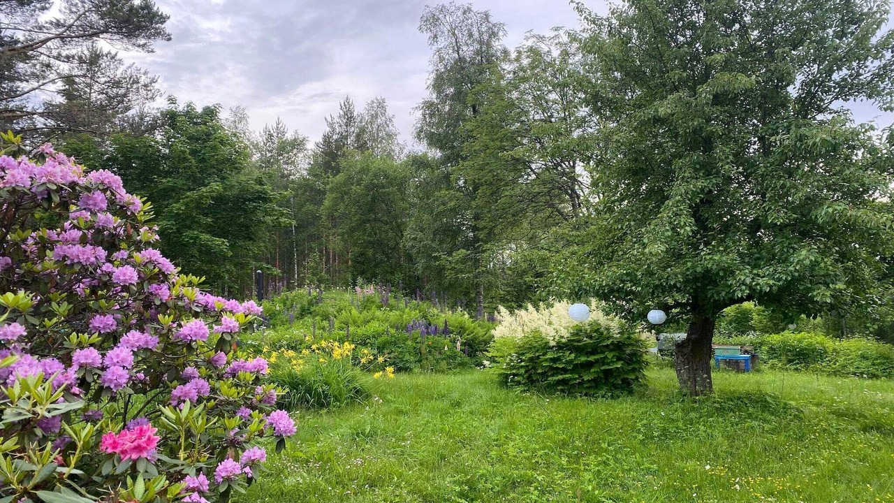 Photo of Outdoor in Guldsmedshyttan