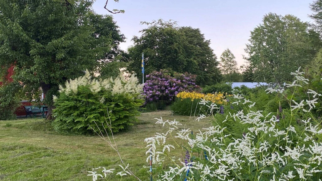 Photo of Outdoor in Guldsmedshyttan