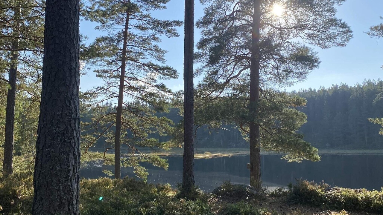 Photo of Outdoor in Guldsmedshyttan