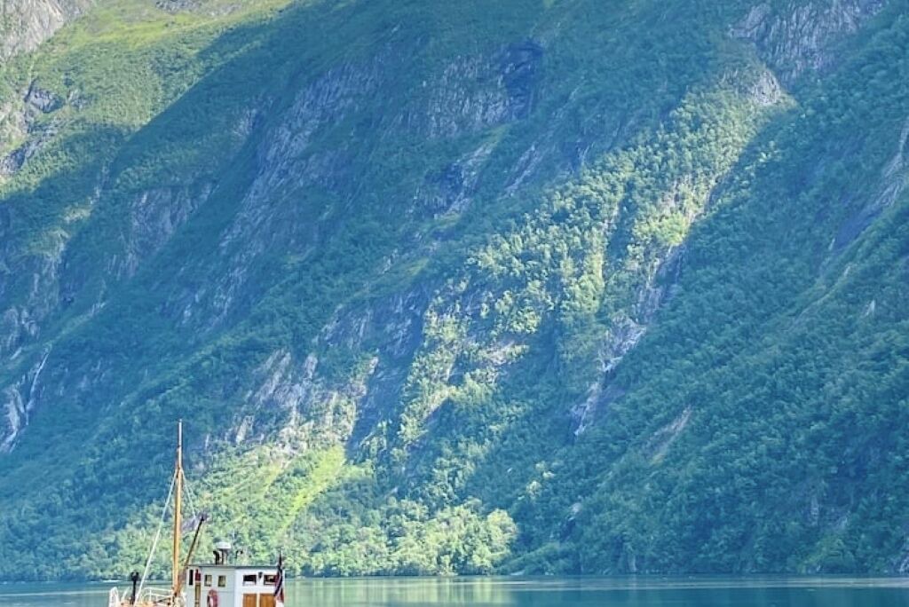 Photo of Others in Vik