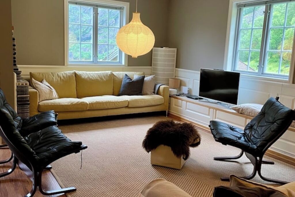 Photo of Livingroom in Vik