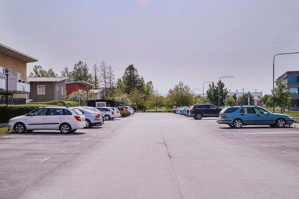 Photo of Others in Visby