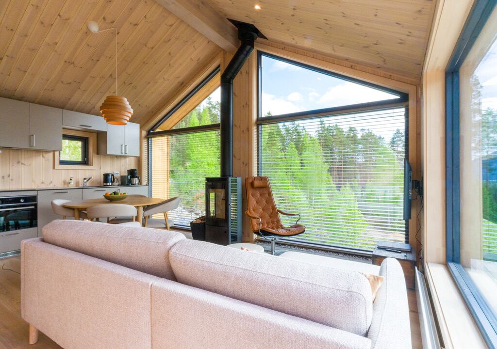 Photo of Livingroom in Vradal