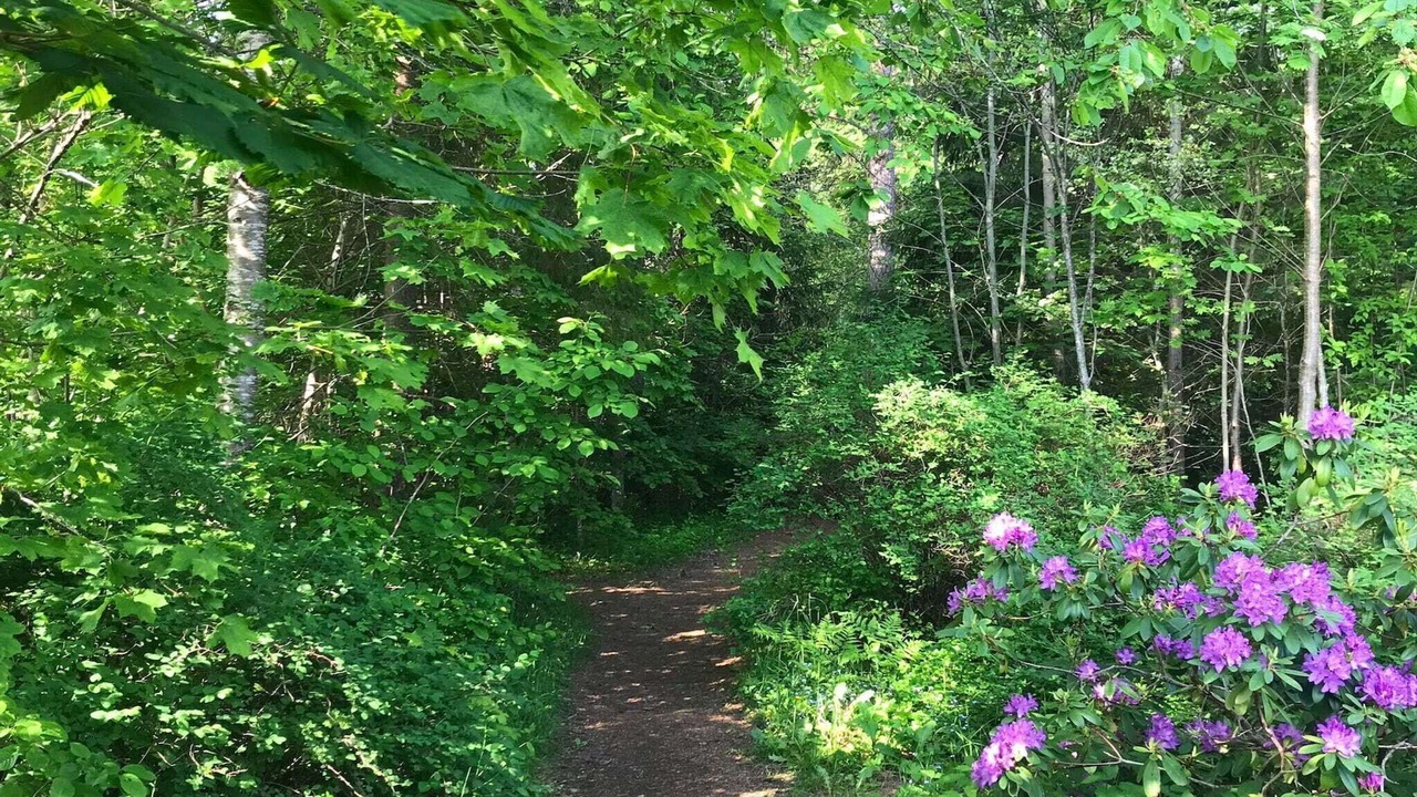 Photo of Outdoor in Knivsta