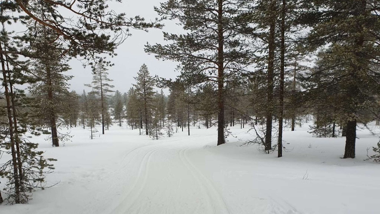 Photo of Others in Trysil