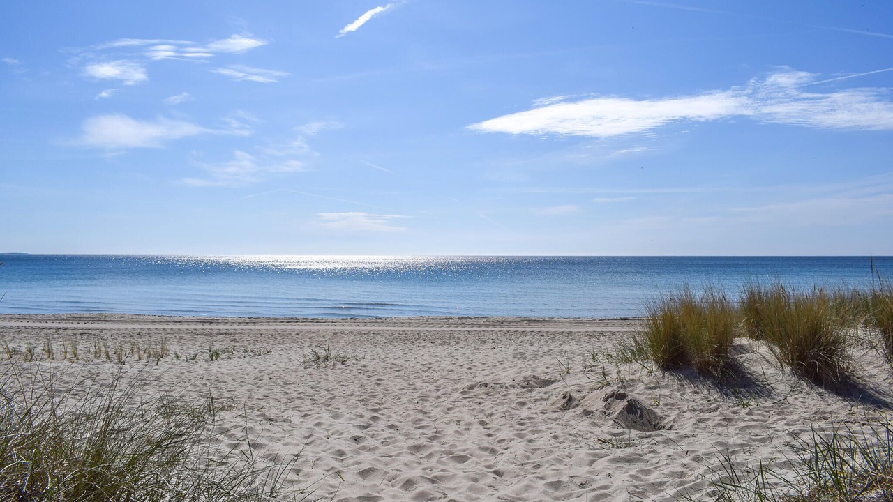 Photo of Others in Ystad