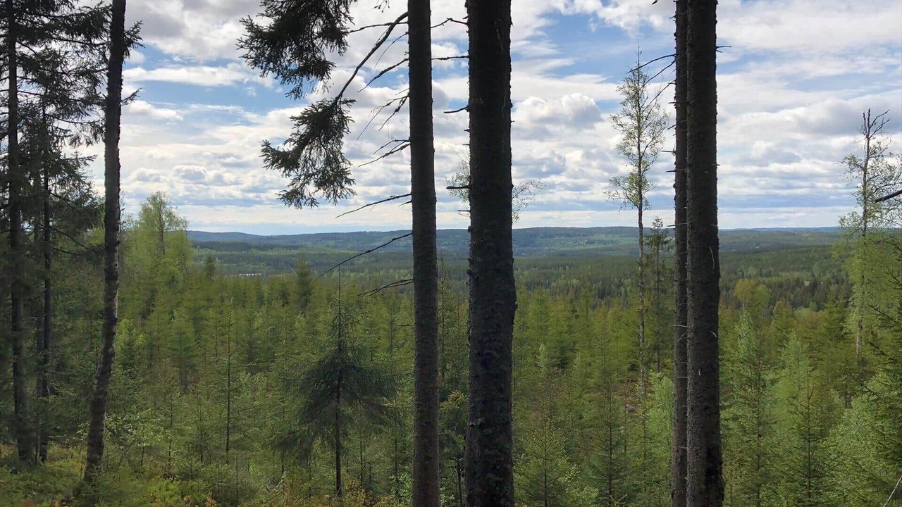 Photo of Others in Axland