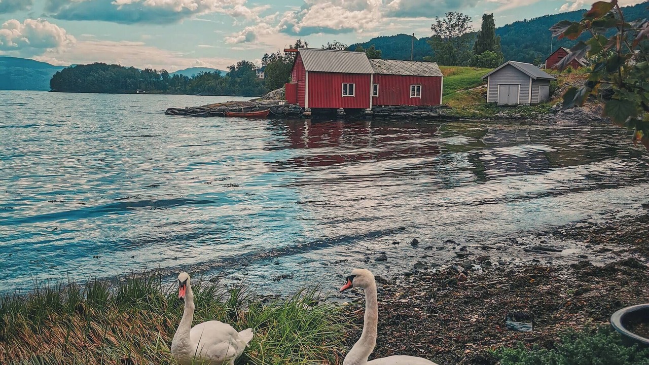 Photo of Others in Strandebarm