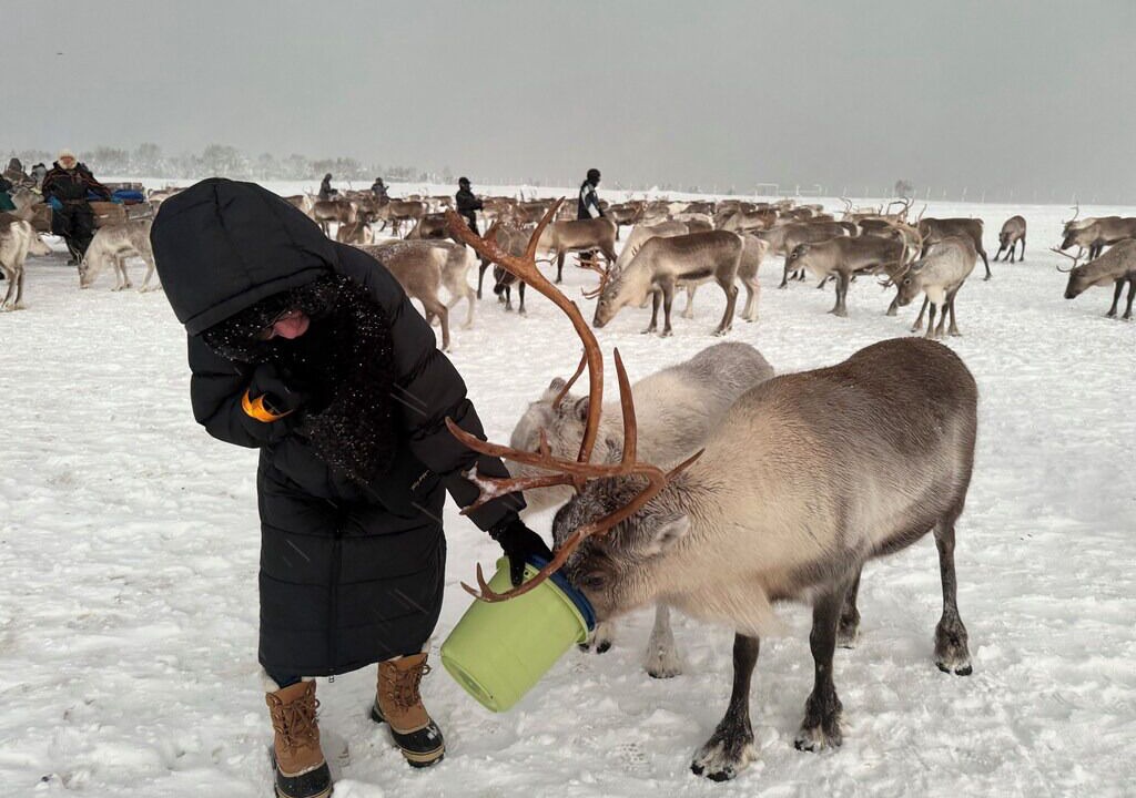 Photo of Others in Tromso