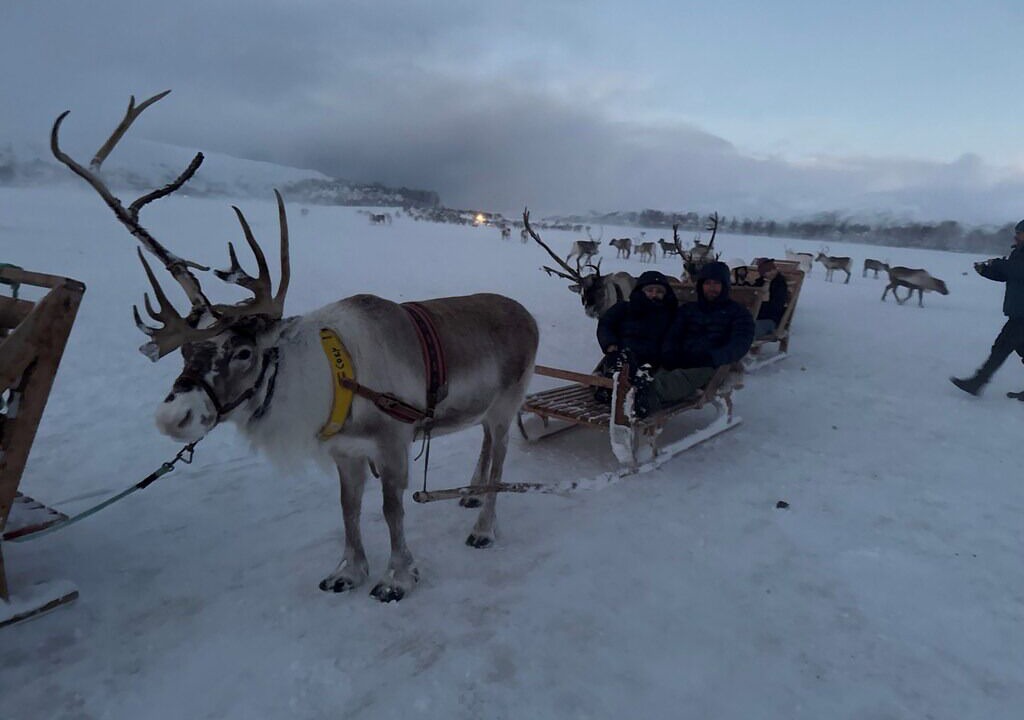 Photo of Others in Tromso