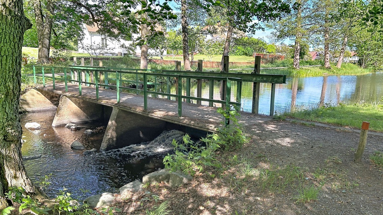 Photo of Others in Orrefors