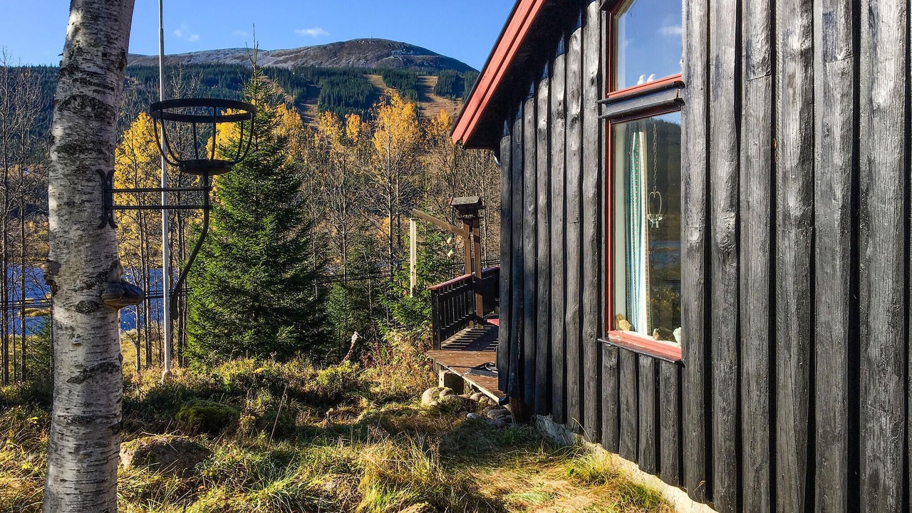 Photo of Others in Trysil