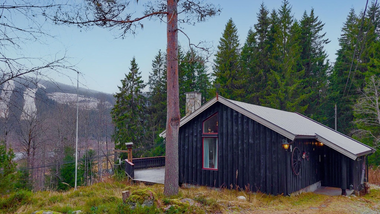 Photo of Others in Trysil