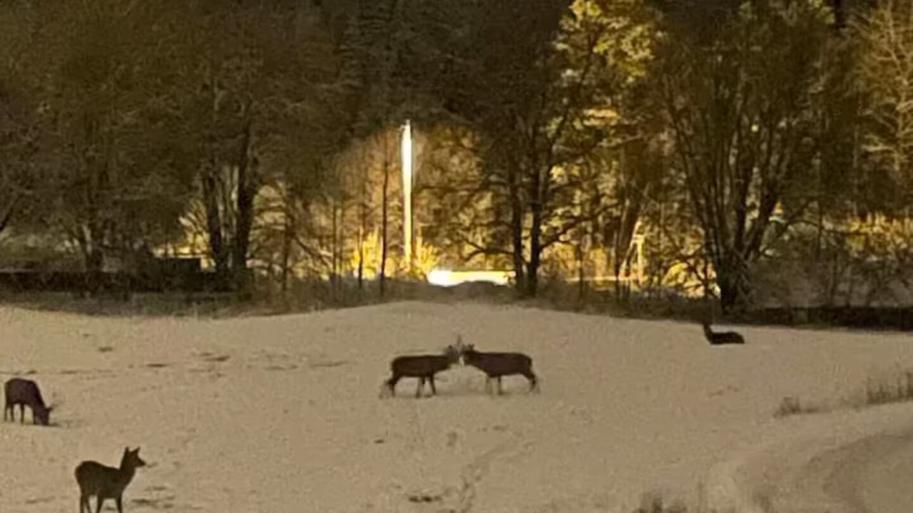 Photo of Others in Voss